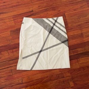 NWT Express skirt